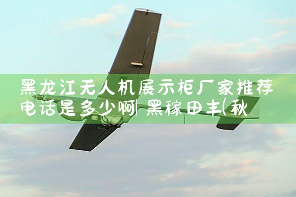 ˻չʾ񳧼Ƽ绰Ƕٰ|˻UAV