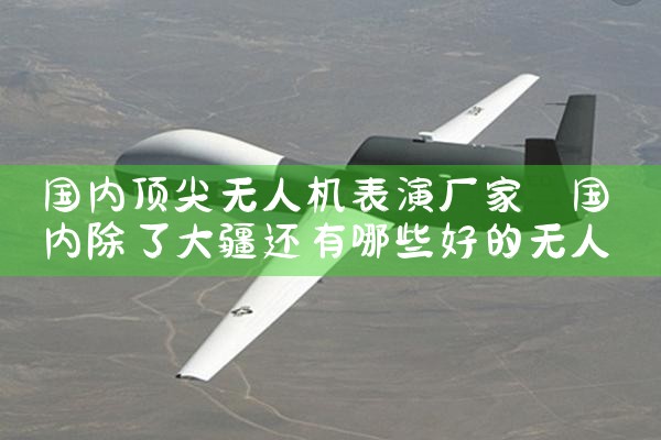 ڶ˻ݳ|˻UAV