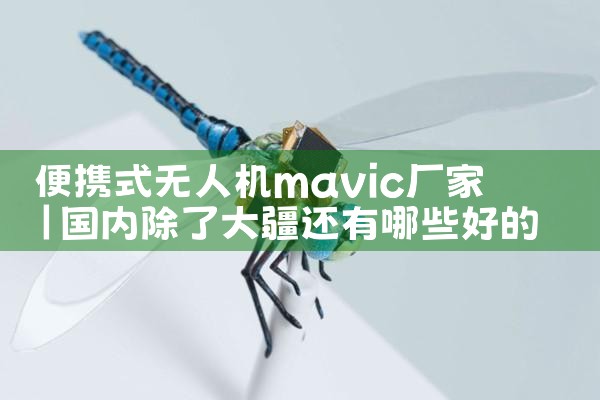 Яʽ˻mavic|˻UAV